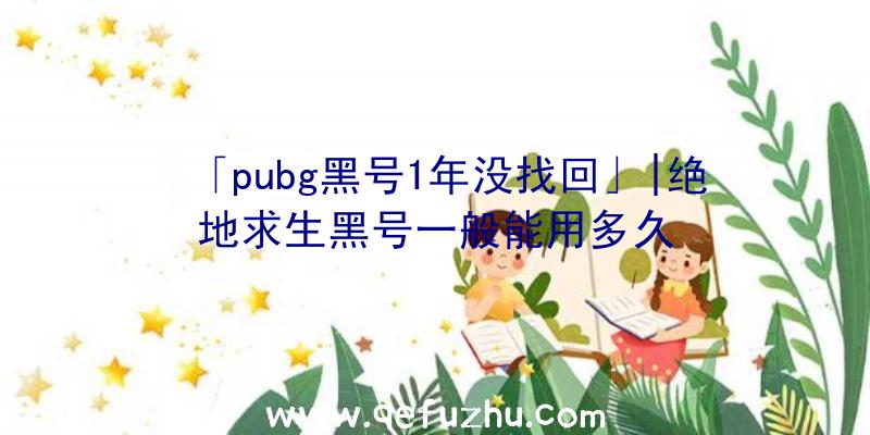 「pubg黑号1年没找回」|绝地求生黑号一般能用多久